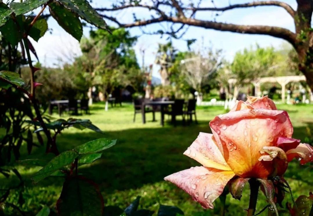 Otantik Tas Ev Acomodação com café da manhã Dalaman Exterior foto